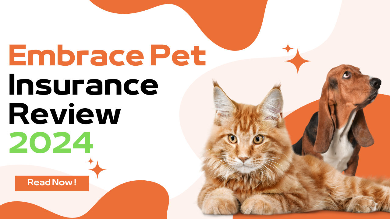 Embrace Pet Insurance Review for Pet Parents (2024)